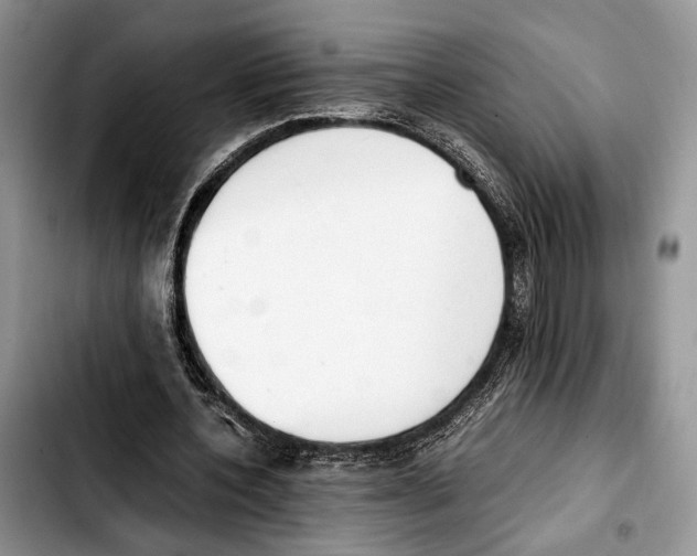 X0000103430532200810101044