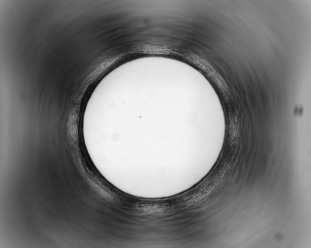 X0000103430533200810101044