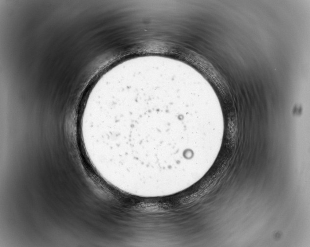 X0000103430534200810101044