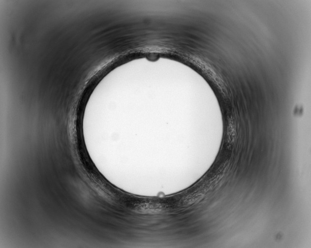 X0000103430535200810101044