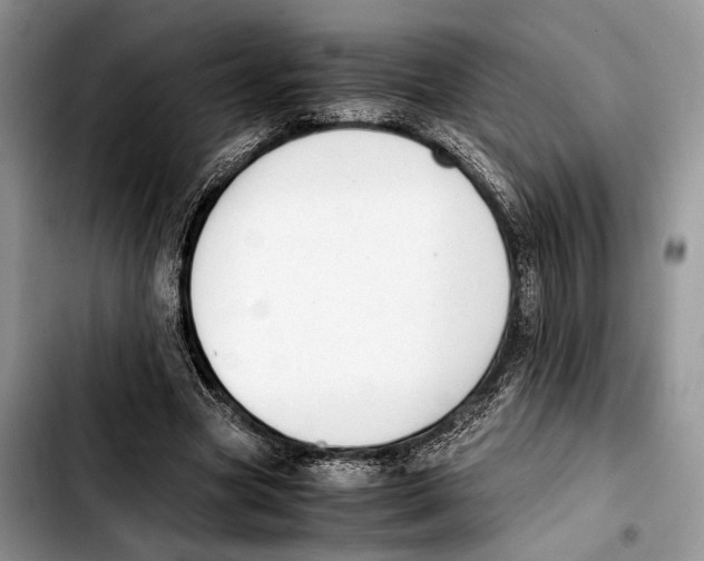 X0000103430537200810101044