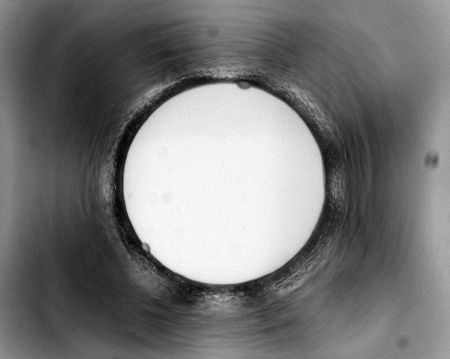 X0000103430540200810101045