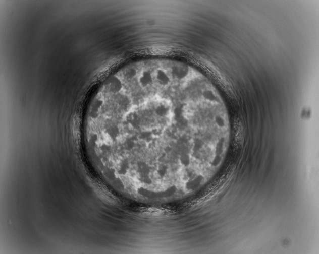 X0000103430542200810101045