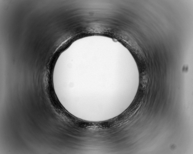 X0000103430544200810101045