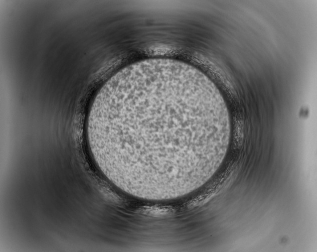 X0000103430545200810101045