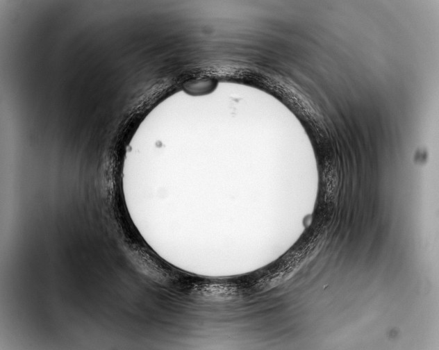 X0000103430546200810101045
