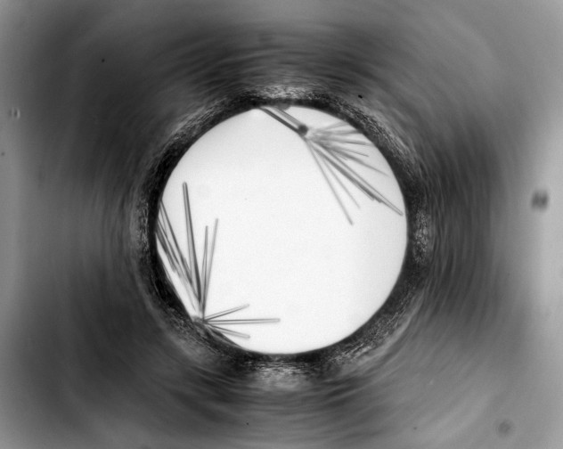 X0000103430547200810101045