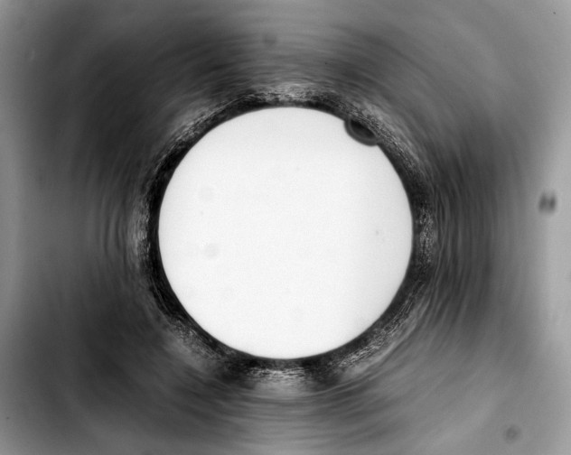 X0000103430548200810101045