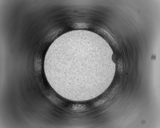 X0000103430549200810101045