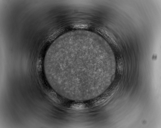 X0000103430551200810101045