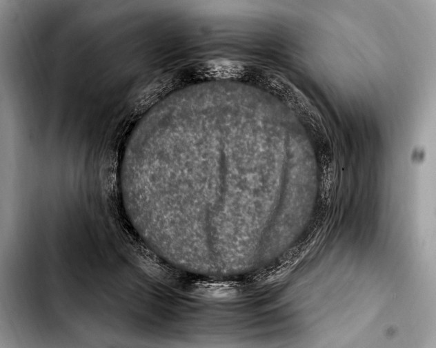 X0000103430553200810101045