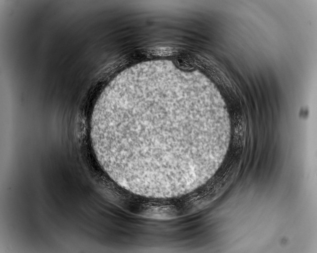 X0000103430555200810101045
