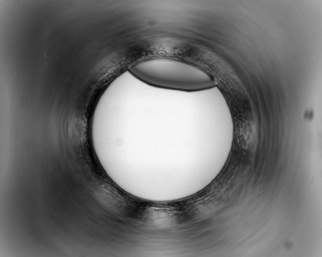 X0000103430556200810101045