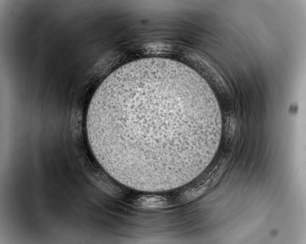 X0000103430557200810101045