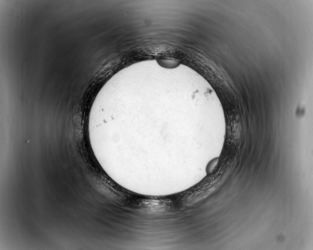X0000103430558200810101045