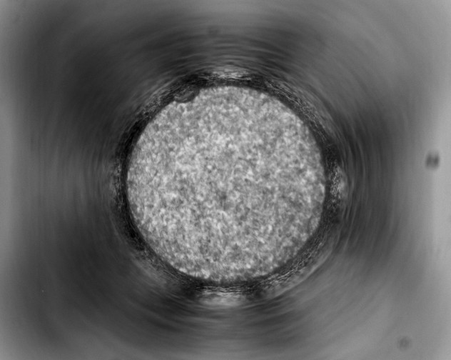 X0000103430559200810101045