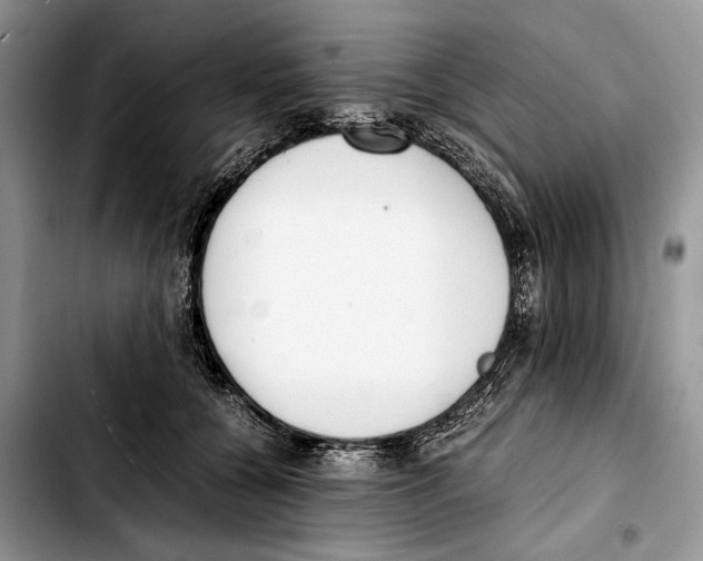 X0000103430560200810101045