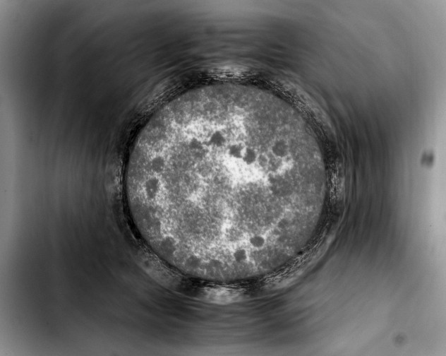 X0000103430561200810101045