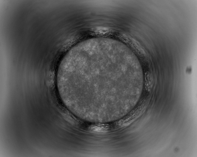 X0000103430563200810101045