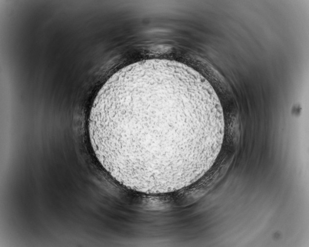X0000103430565200810101045