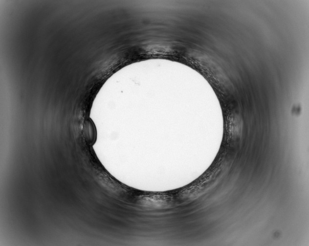 X0000103430567200810101045