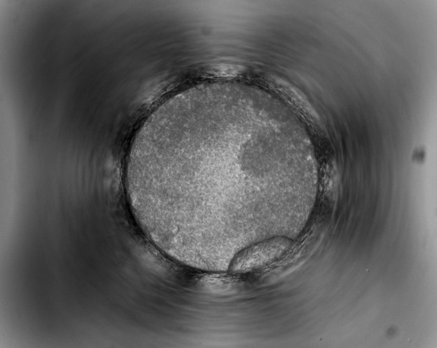X0000103430568200810101045