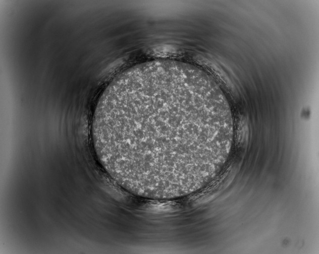 X0000103430569200810101045