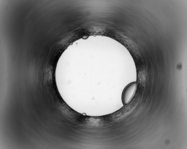 X0000103430570200810101045