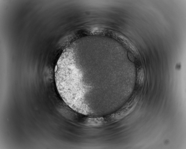 X0000103430571200810101045