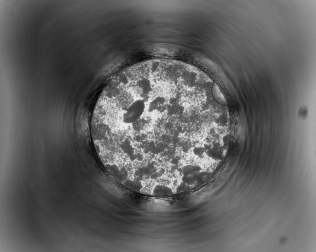 X0000103430573200810101045