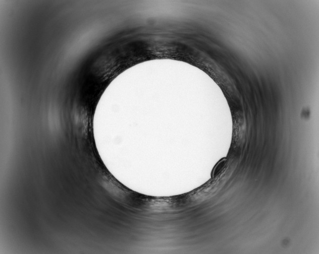 X0000103430574200810101045