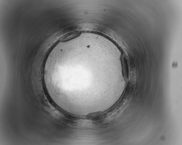 X0000103430577200810101044
