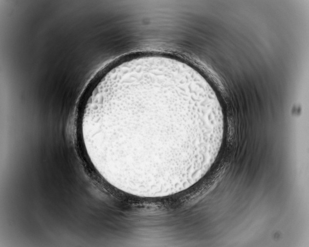 X0000103430580200810101044