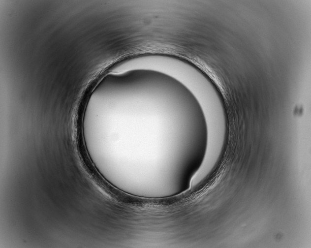 X0000103430581200810101044