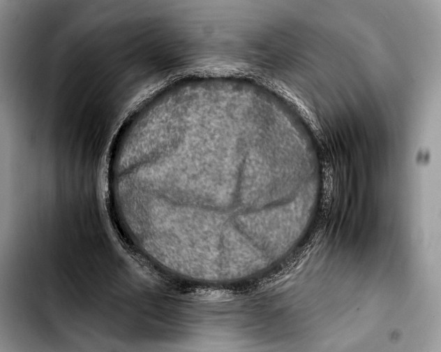 X0000103430582200810101044