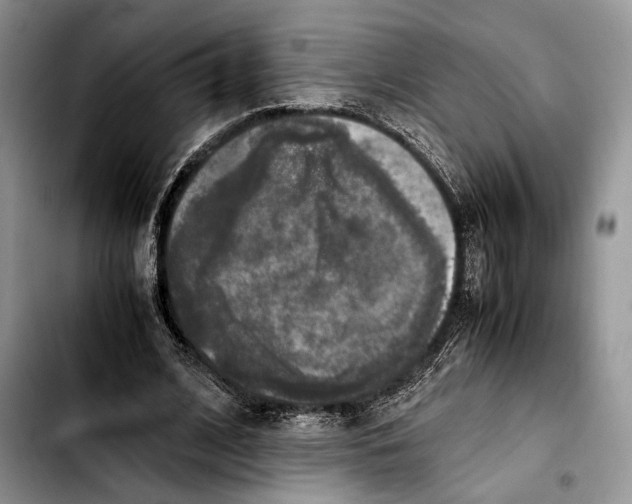 X0000103430584200810101044