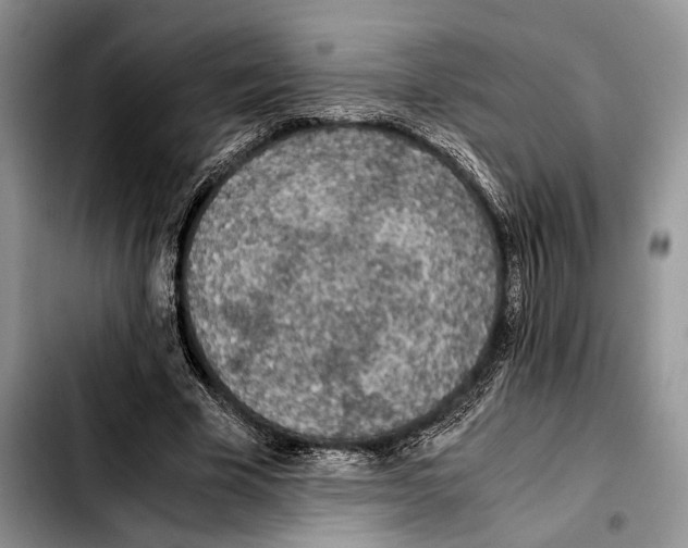 X0000103430585200810101044