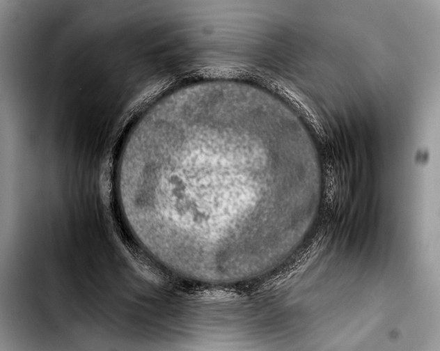 X0000103430586200810101044
