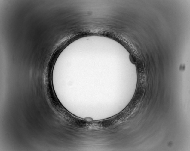 X0000103430587200810101044