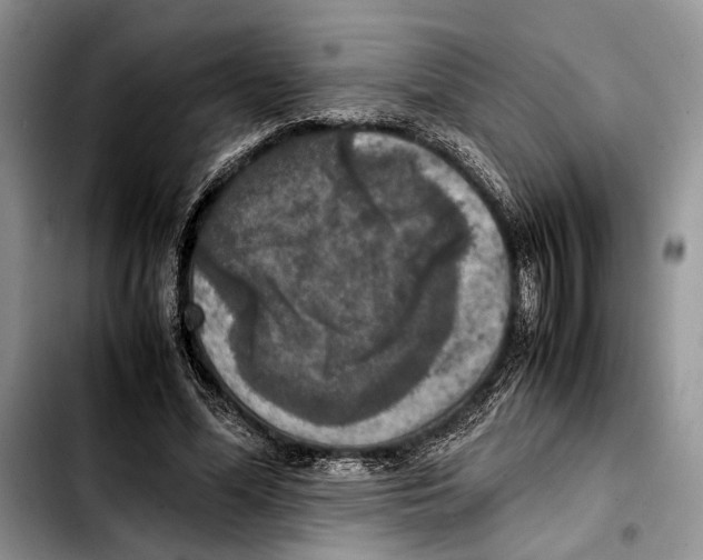 X0000103430588200810101044