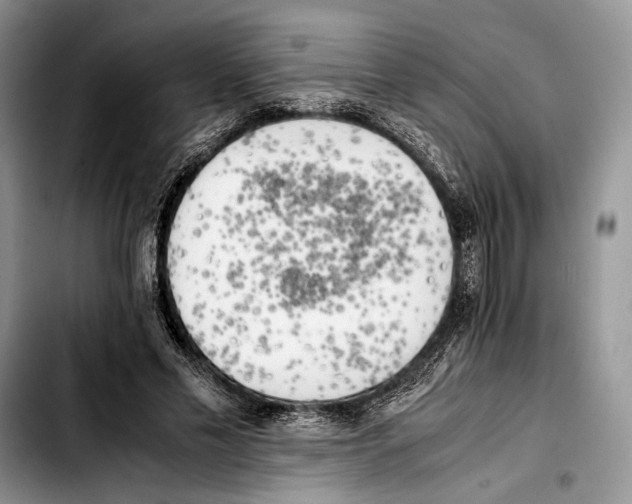 X0000103430589200810101044