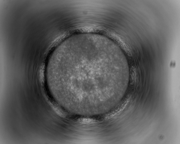 X0000103430590200810101044