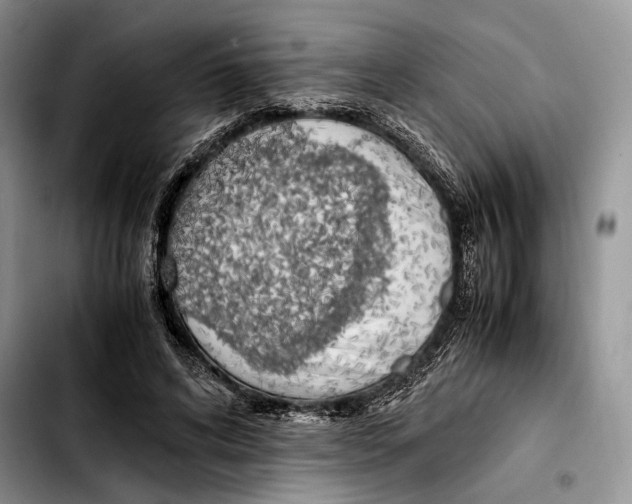 X0000103430592200810101044