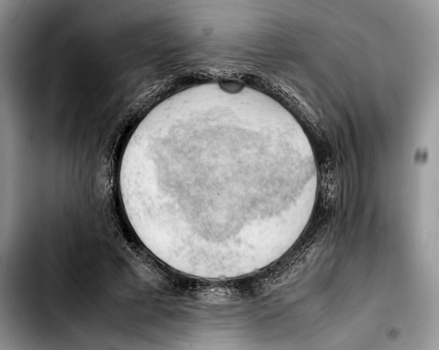 X0000103430593200810101044
