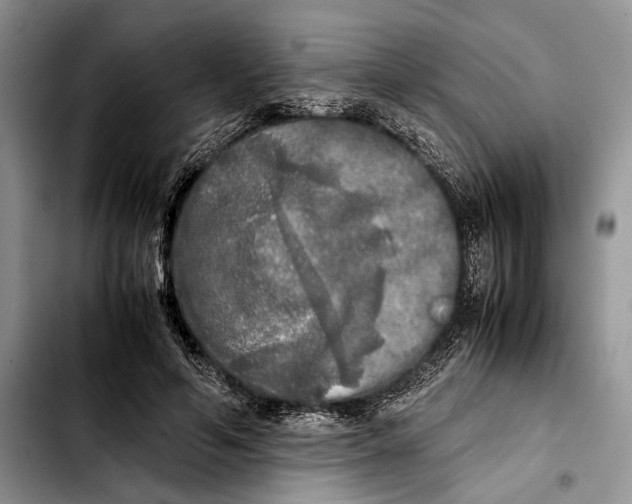 X0000103430594200810101044