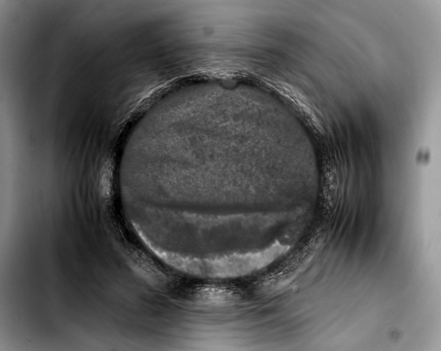 X0000103430596200810101044