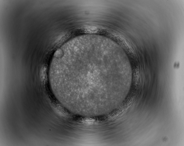 X0000103430598200810101044