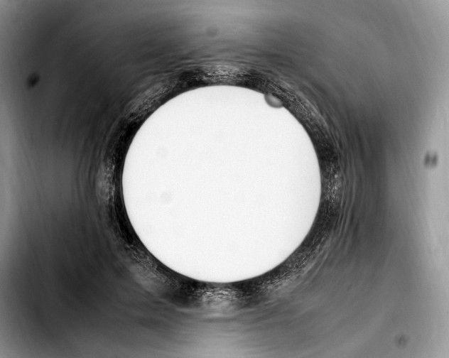 X0000103430599200810101044
