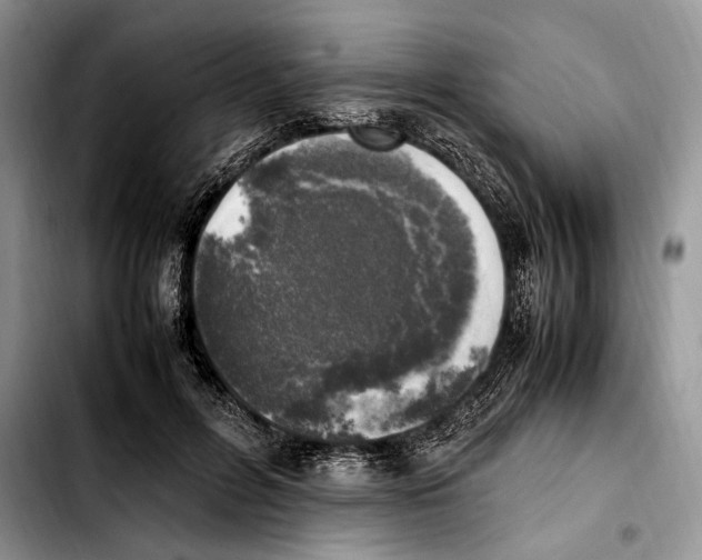 X0000103430600200810101044