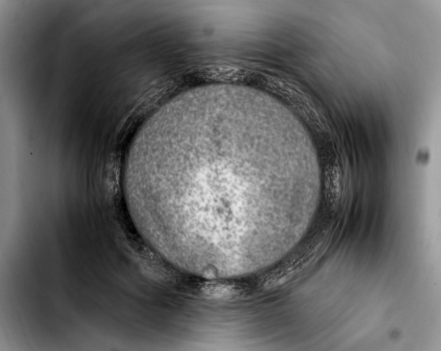 X0000103430602200810101044
